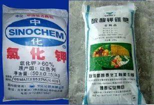 最牛的施肥技术 只发一次 建议你看完保存起来
