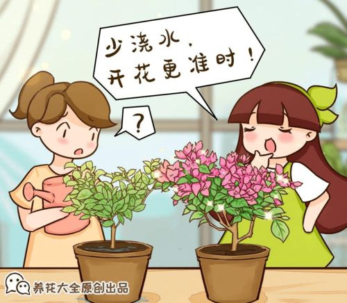 养花必须知道的10句 顺口溜 ,不要白白交学费,收藏好终身受用