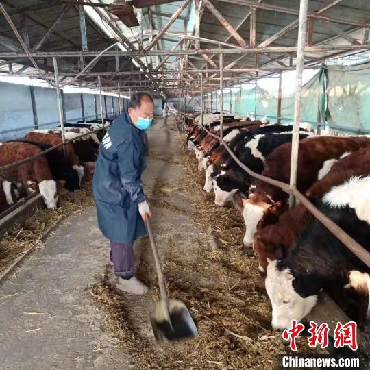 养牛场