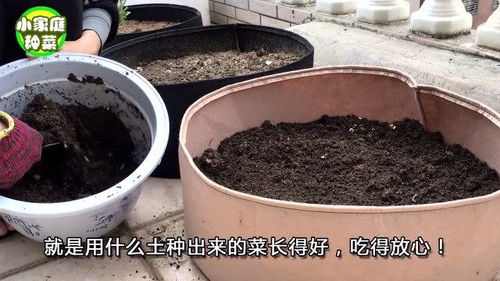 在家里种菜,用这几种方法,也能调配出肥沃的营养土