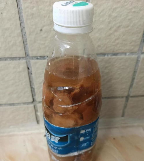 学会这些除臭小技巧,发酵有机肥就不怕臭气熏天了