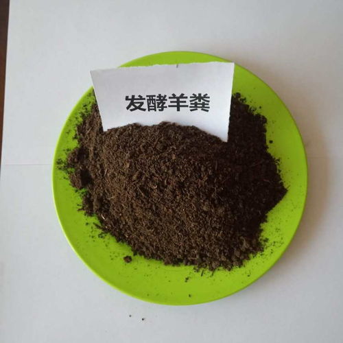 高坪蚯蚓粪多少钱一袋
