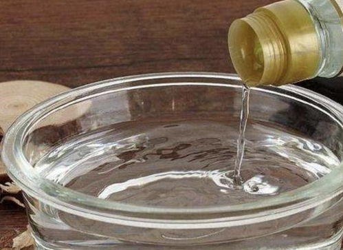 备好 2种水 ,给家里的发财树 绿萝 浇1遍 ,新芽长不停