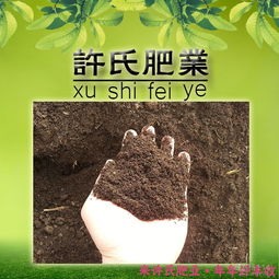 网络114
