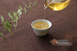 茶叶水可以浇花吗
