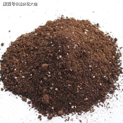 还在为换盆而发愁 多注意这几个地方,换完不到1个月就能服盆