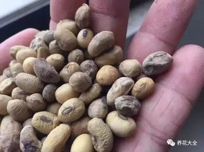 花百科 没想到这么多养花的好东西,全让我当垃圾扔了