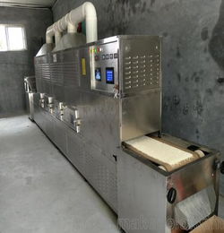 黑龙江石墨烯专用微波烘干设备