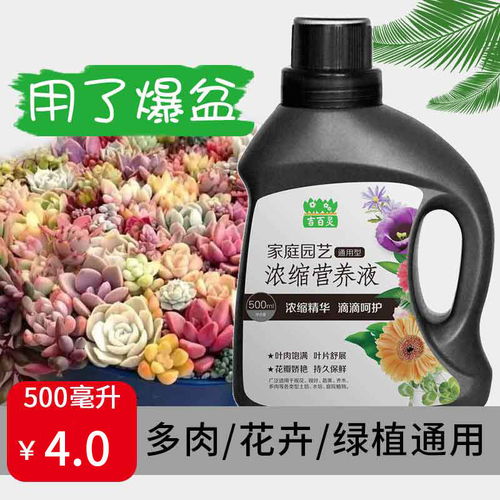营养液花肥料植物通用盆栽绿萝养花肥料复合肥花肥有机肥料叶面肥