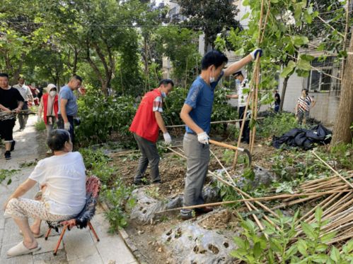 东西湖将军路多部门联合清理违规 菜地 ,还小区居民一片绿