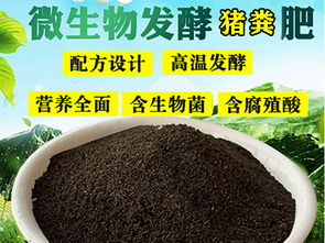 安阳土地整改专用肥发酵羊粪优质羊粪苹果草莓果树大棚蔬菜专用有机肥多少钱一吨 查看详情