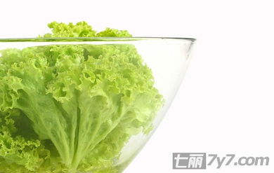 什么蔬菜适合夏秋季刮脂减肥 一周吃出好身材