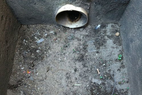下水道漏水不赢,水往上冒怎么办
