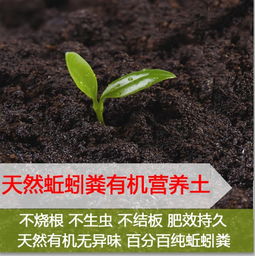 种花用的营养土有哪些 哪个牌子的比较好