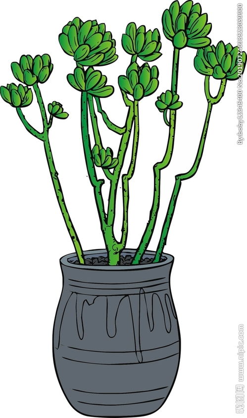 花盆图片