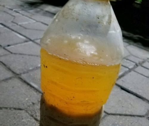 给花沤肥时加点它,一点都不臭,反而有股淡淡的清香