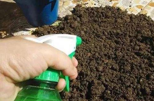 花盆土壤消毒用什么药 快来学几招花土快速消毒方法