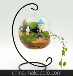 植宠 吊瓶滴瓶微景观玻璃瓶 苔藓DIY生态瓶专用器皿 不带支架