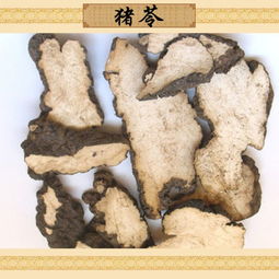猪苓 中药材正品 猪苓 猪苓片利水渗湿小便不利