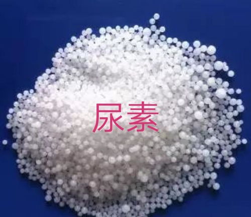 农民如何正确使用草木灰 尿素和硫酸铵等肥料