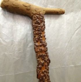 刚砍下来花椒木拐杖怎么处理