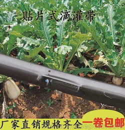 河南焦作市大棚滴灌 滴灌管 滴灌带微喷水肥一体化厂家直销