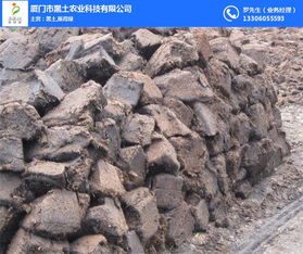 泥炭土批发 厦门泥炭土 黑土农业