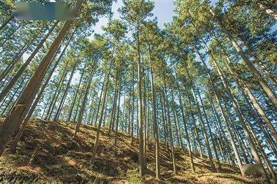 全国十佳 福建2地上榜