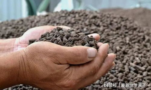 4月份,16种蔬菜可以育苗种植了,不要错过最佳时间,早种早吃