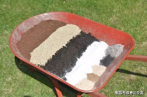 营养土和菜园土用来养花有诸多注意事项,旧土如何重复使用