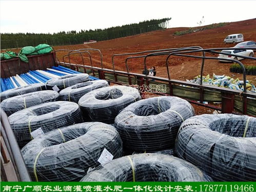 水肥一体化滴灌设备价格