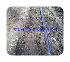 河北润田大棚滴灌设备价格 河北润田大棚滴灌设备厂家批发 钱眼网