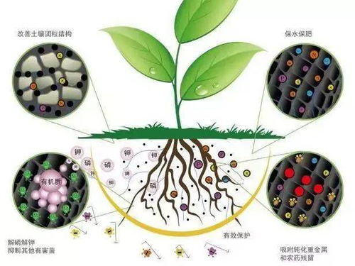 重磅 根果良品核心菌剂全面升级