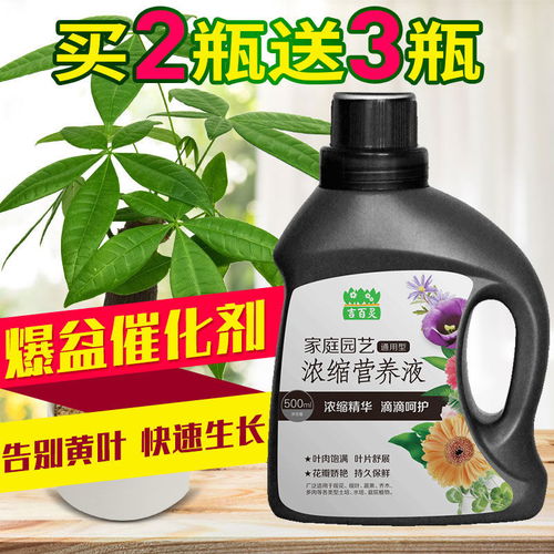 营养液花肥料植物通用盆栽绿萝养花肥料复合肥花肥有机肥料叶面肥