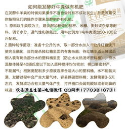 牛粪羊粪怎么发酵来做有机肥
