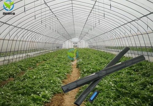 温室大棚蔬菜水肥一体化应用案例分析
