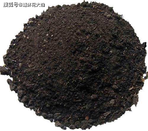 去野外捡把树皮 果核,带回家一处理,冬天养花当肥料特好用