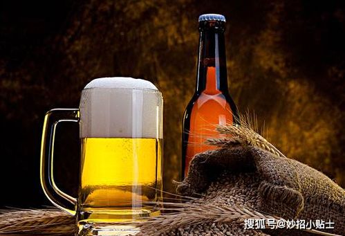 淘米水别直接倒入花盆,易发臭烂根,这才是正确的浇花方法