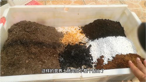 别买贵价营养土 自制 万能养花土 ,杀菌 底肥还透气