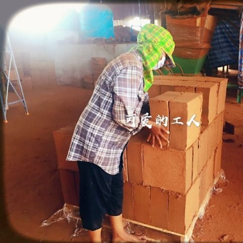 进口椰砖大椰糠砖椰粉砖种菜土营养土10斤椰糠砖