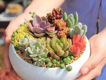 雅世 东岸国际 花样五一,乐翻天 成功举办