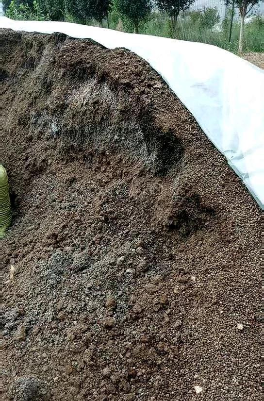 养花盆土板结很烦人,浇水不透花不长,教你几个解决问题的小方法