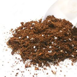 别再一把抓了 不懂多肉配土的宝贝们看过来