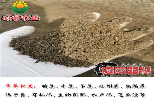 河池生物有机肥多少钱一吨