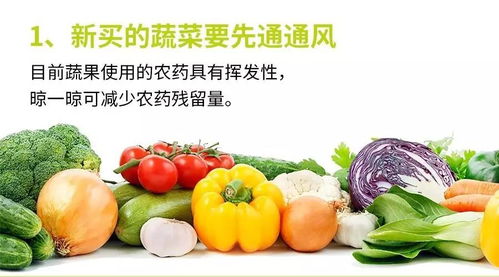 一个农残,五大对策 夏天到来,刚买来的蔬菜你得这样处理
