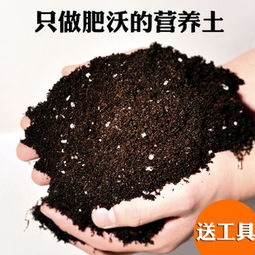 汽车脚垫 汽车脚垫什么品牌好 汽车脚垫什么品牌好