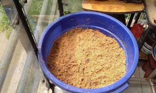 养花就用这种土,不花钱,还肥的流油,养花蹭蹭长 园土