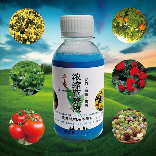 家用通用型浓缩营养液养花肥料营养土盆栽多肉植物水培花卉果树