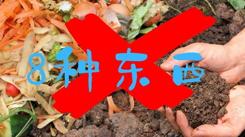 8类不应放在堆肥箱里的东西 这些不适合家庭堆肥,一定要知道