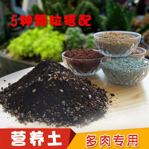 多肉植物营养土大包花肥料种花土通用种菜种植土多肉专用土壤包邮